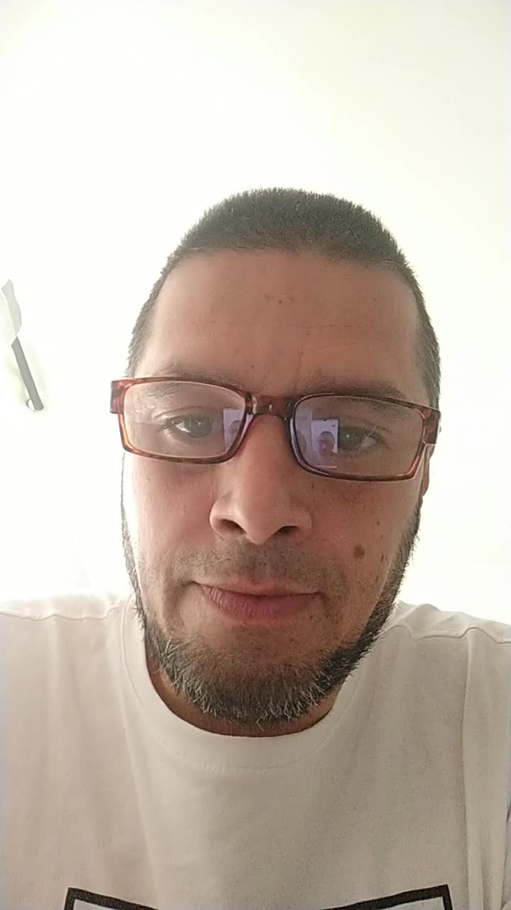 Bilingual Support Agent