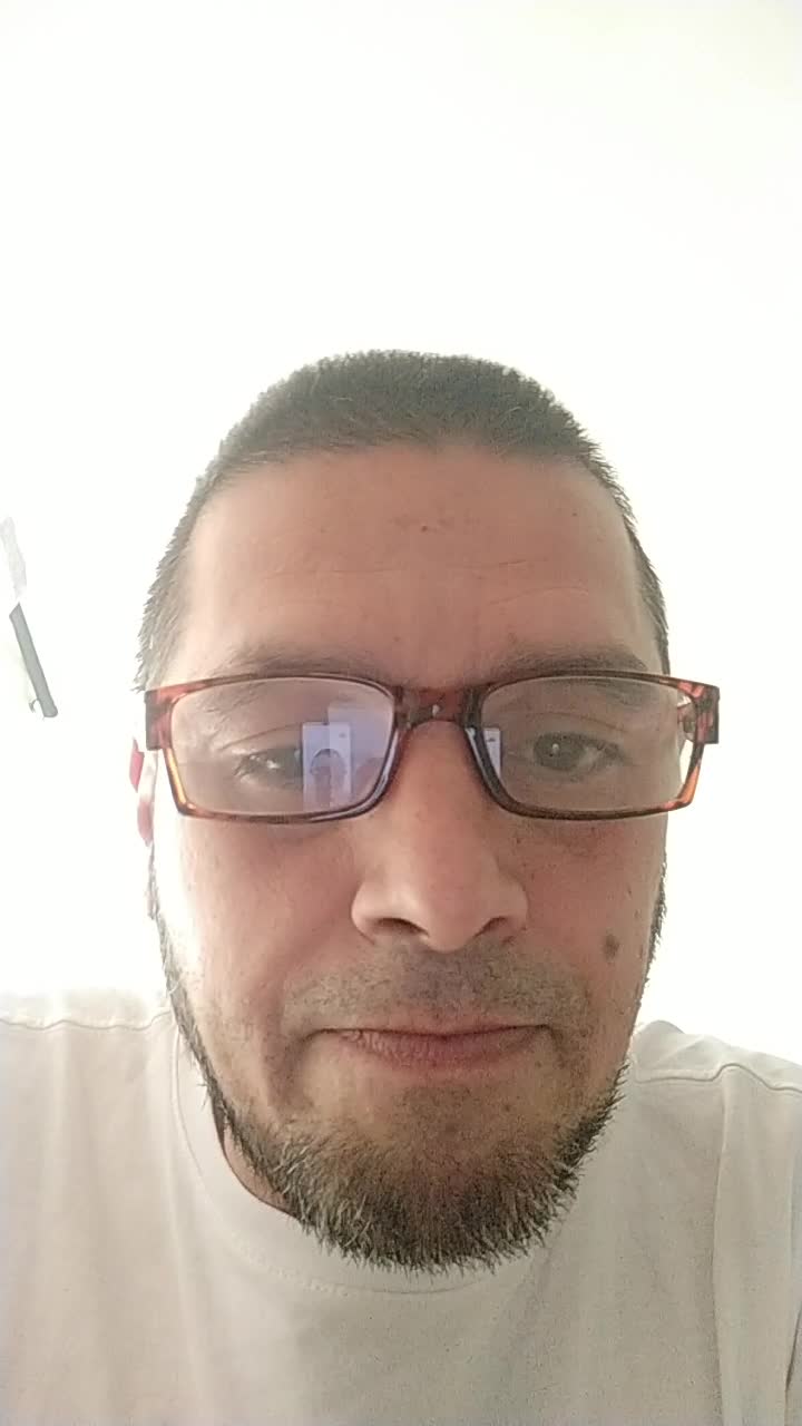 Bilingual Support Agent