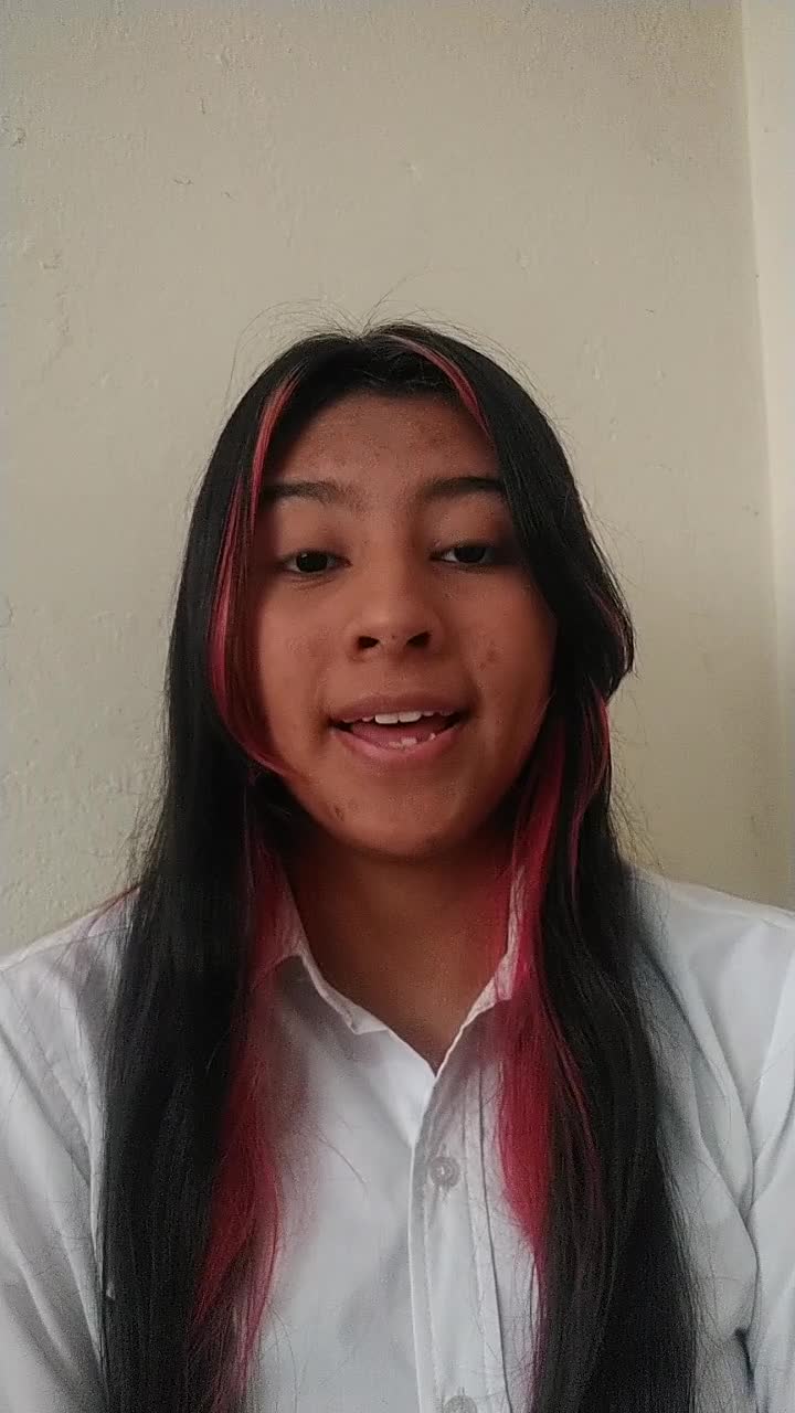 Técnico Asistente administrativo 