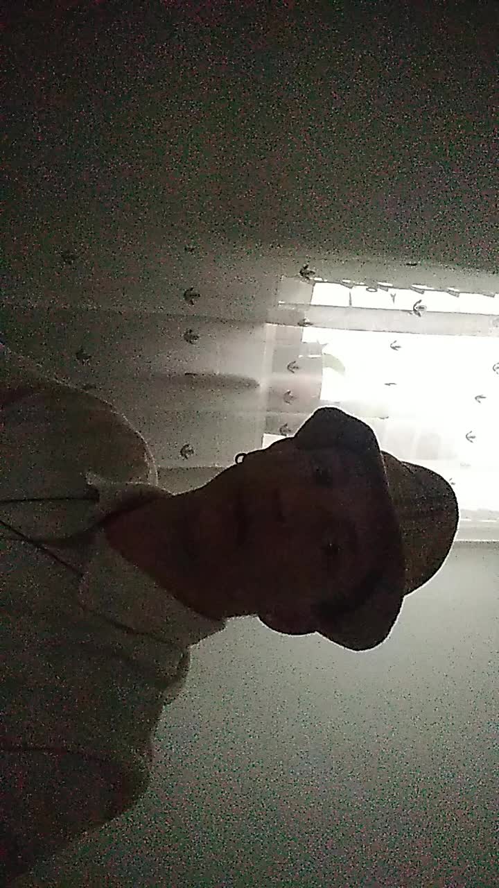 Apoyo administrativo