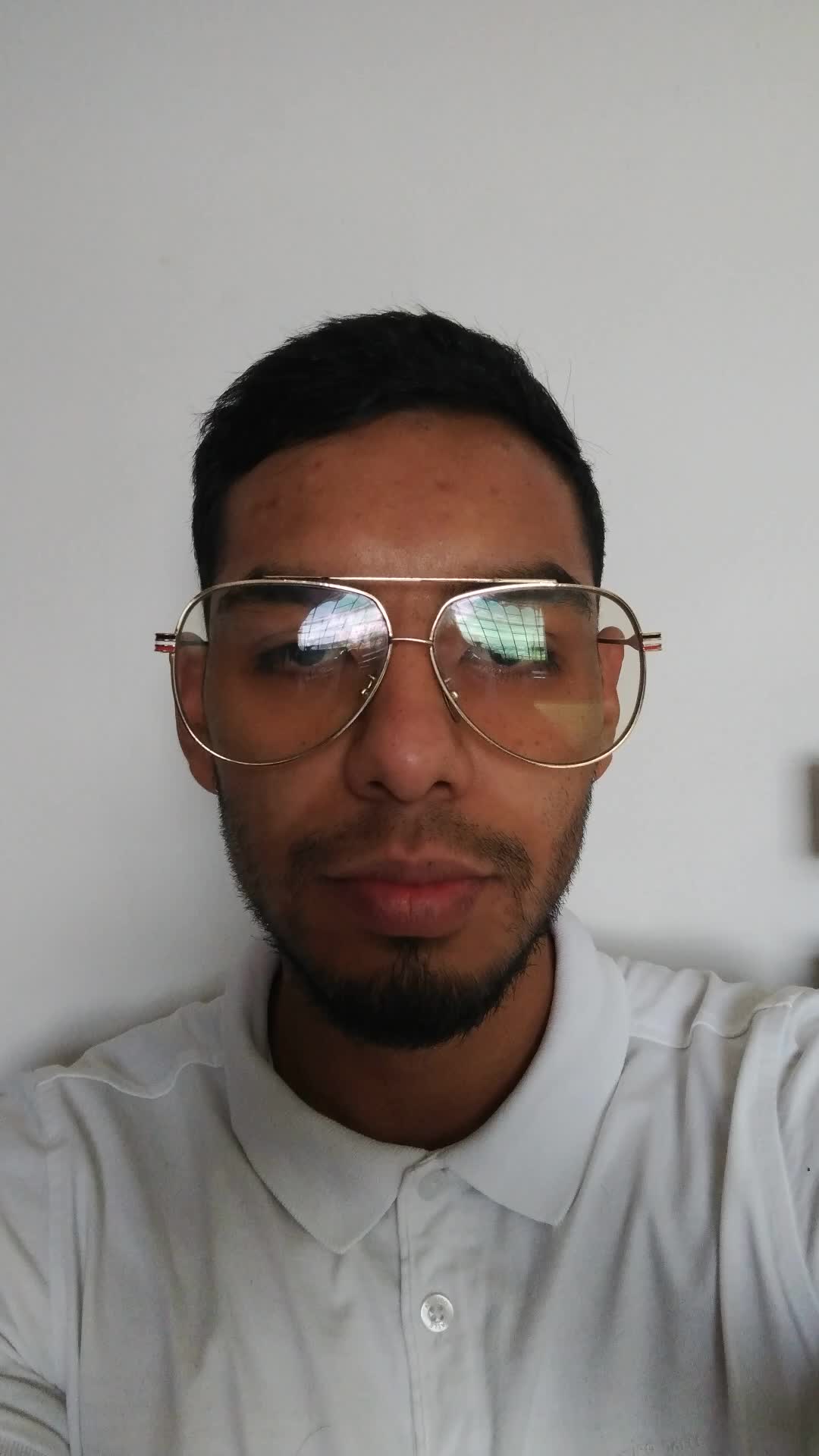 Negociador internacional 