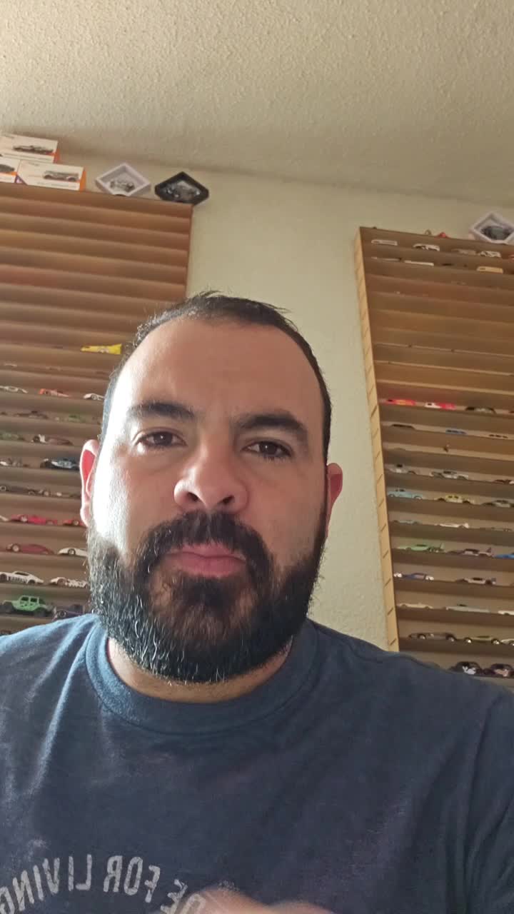 Remote Tech Support Agent