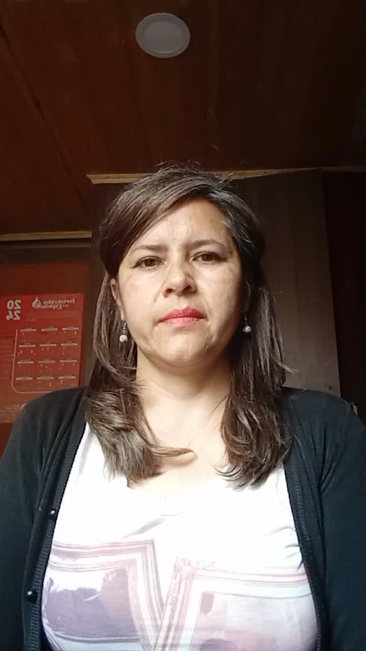 Agente de servicio al cliente 