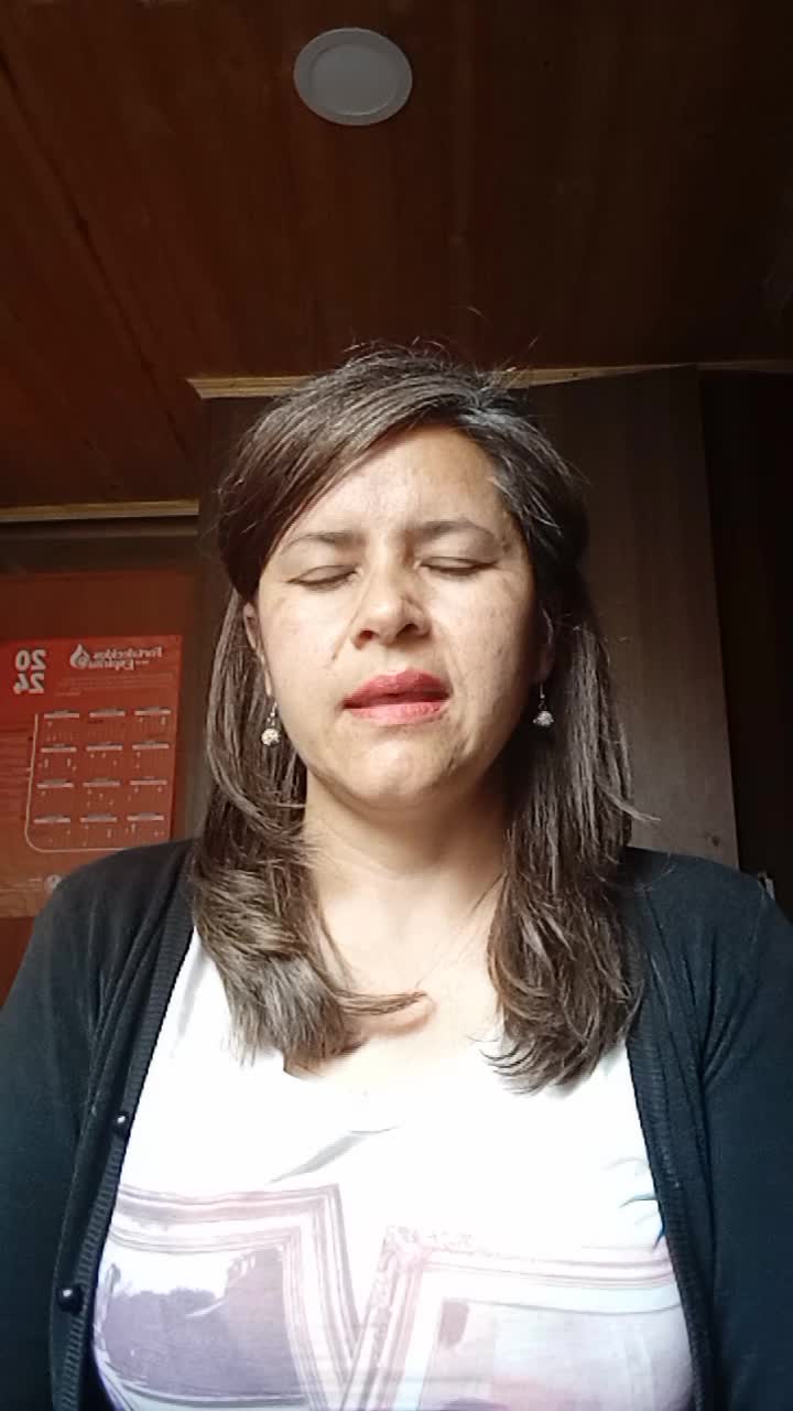 Agente de servicio al cliente 