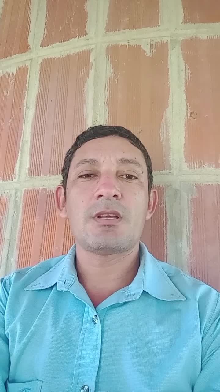 Técnico contable 