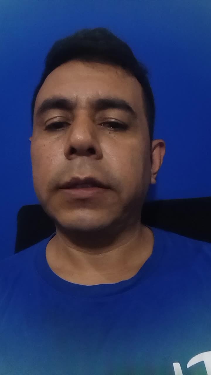 Video remote interpreter 