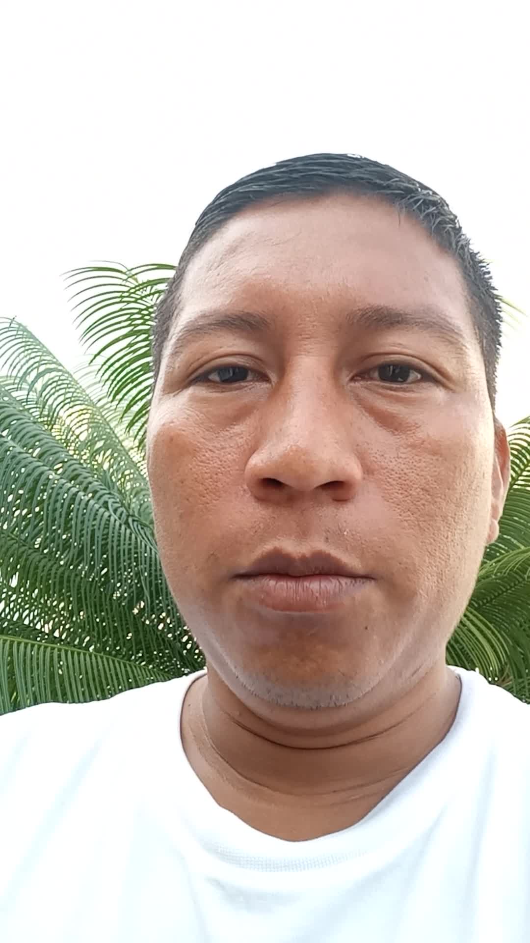 Asesor comercial