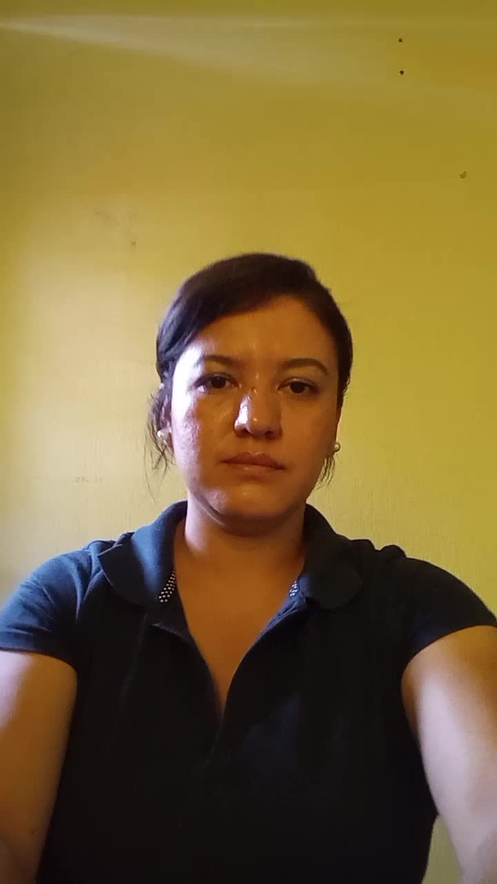 Customer service remoto position