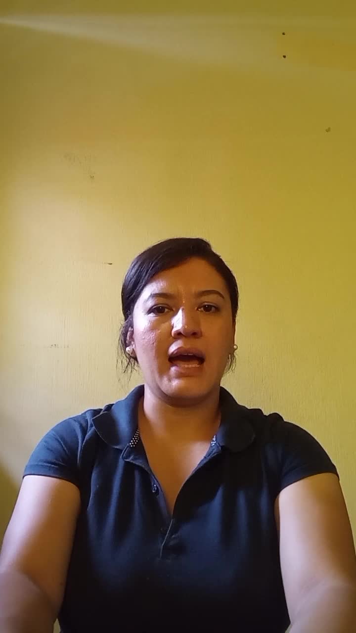 Customer service remoto position