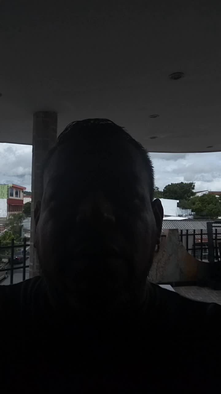 Profesional de servicios 