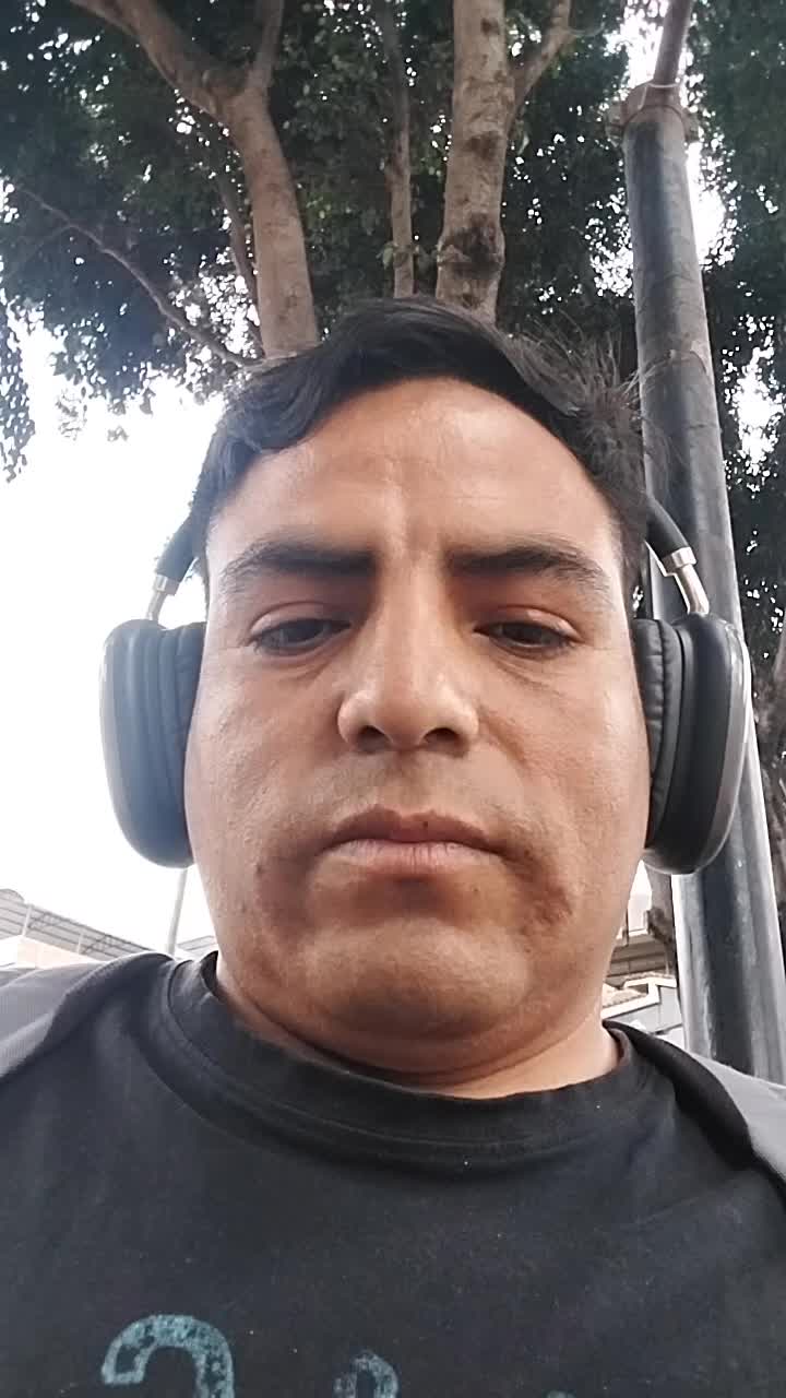 Sin título 