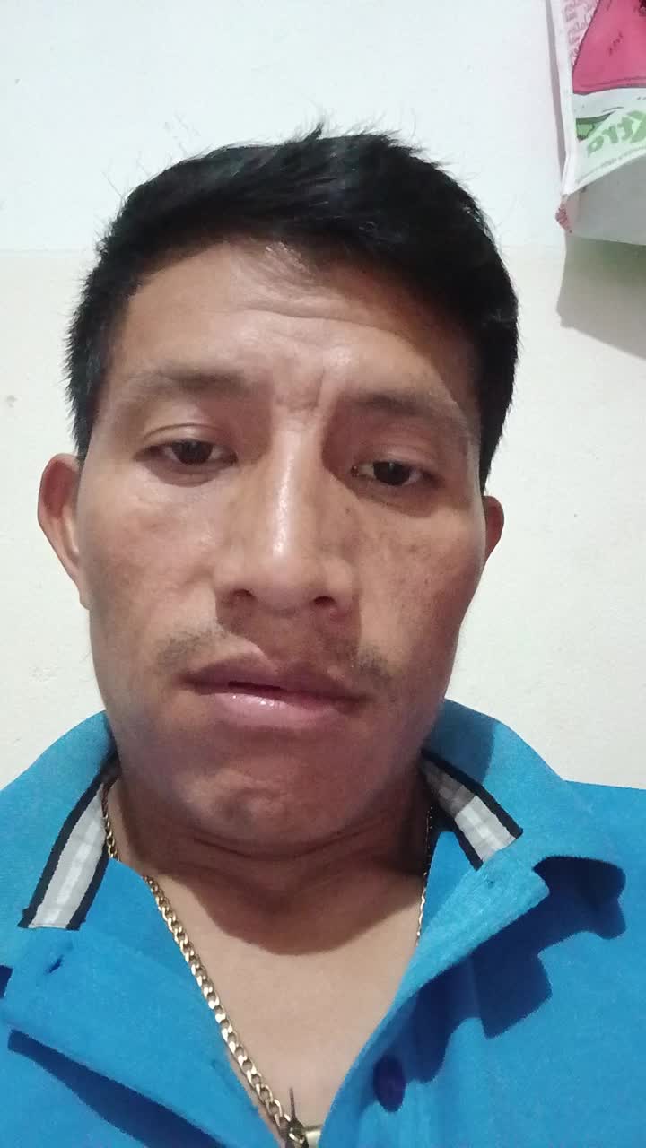 Bachillerato sexto año