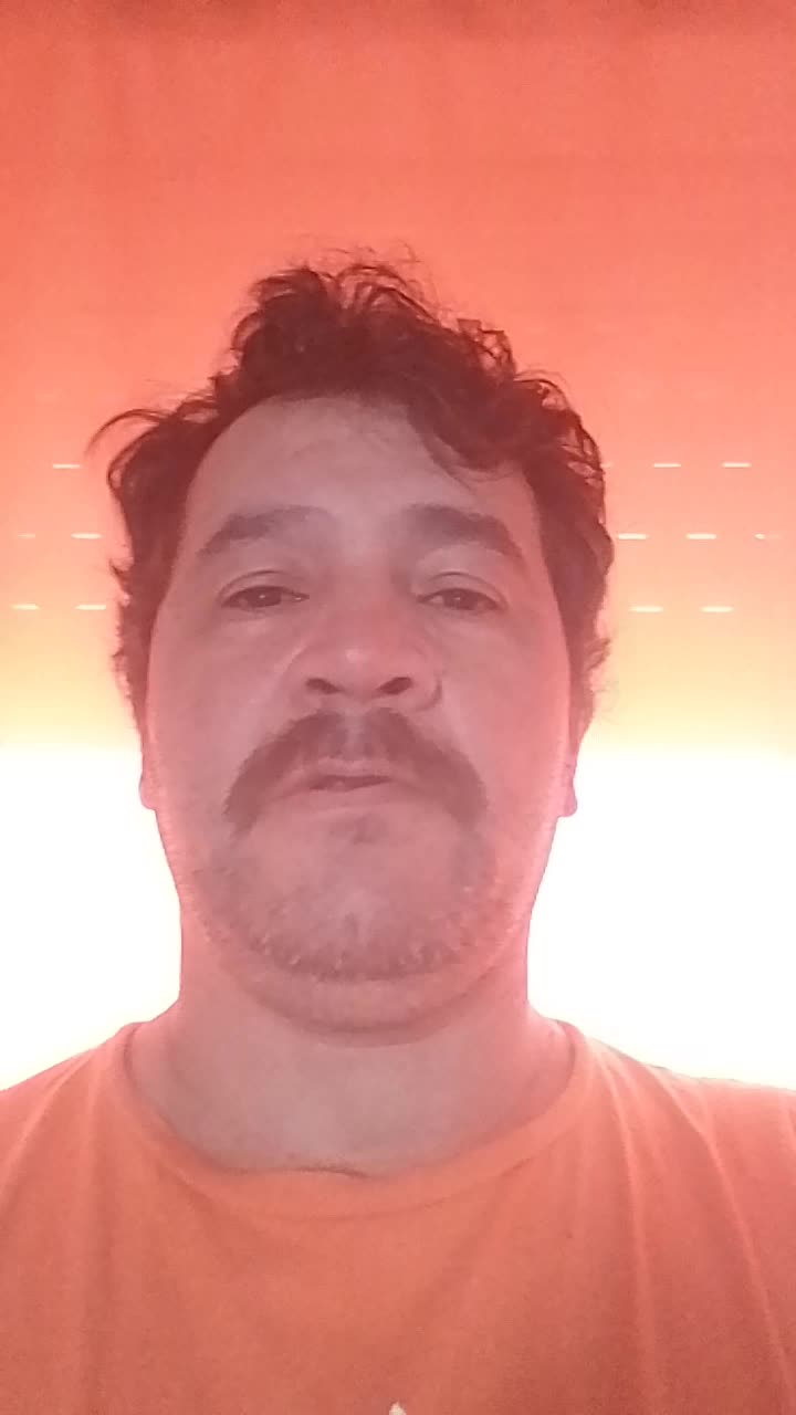 Oficial Albañil