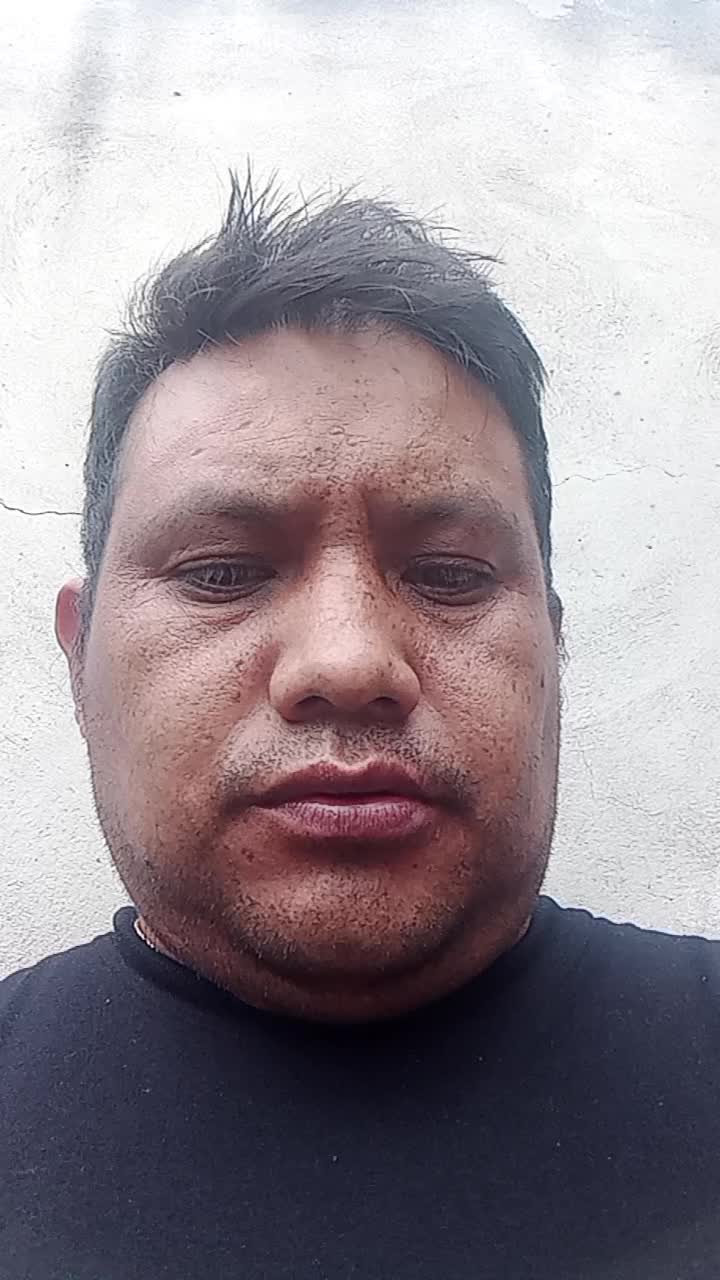 Licencia profesional tipo D