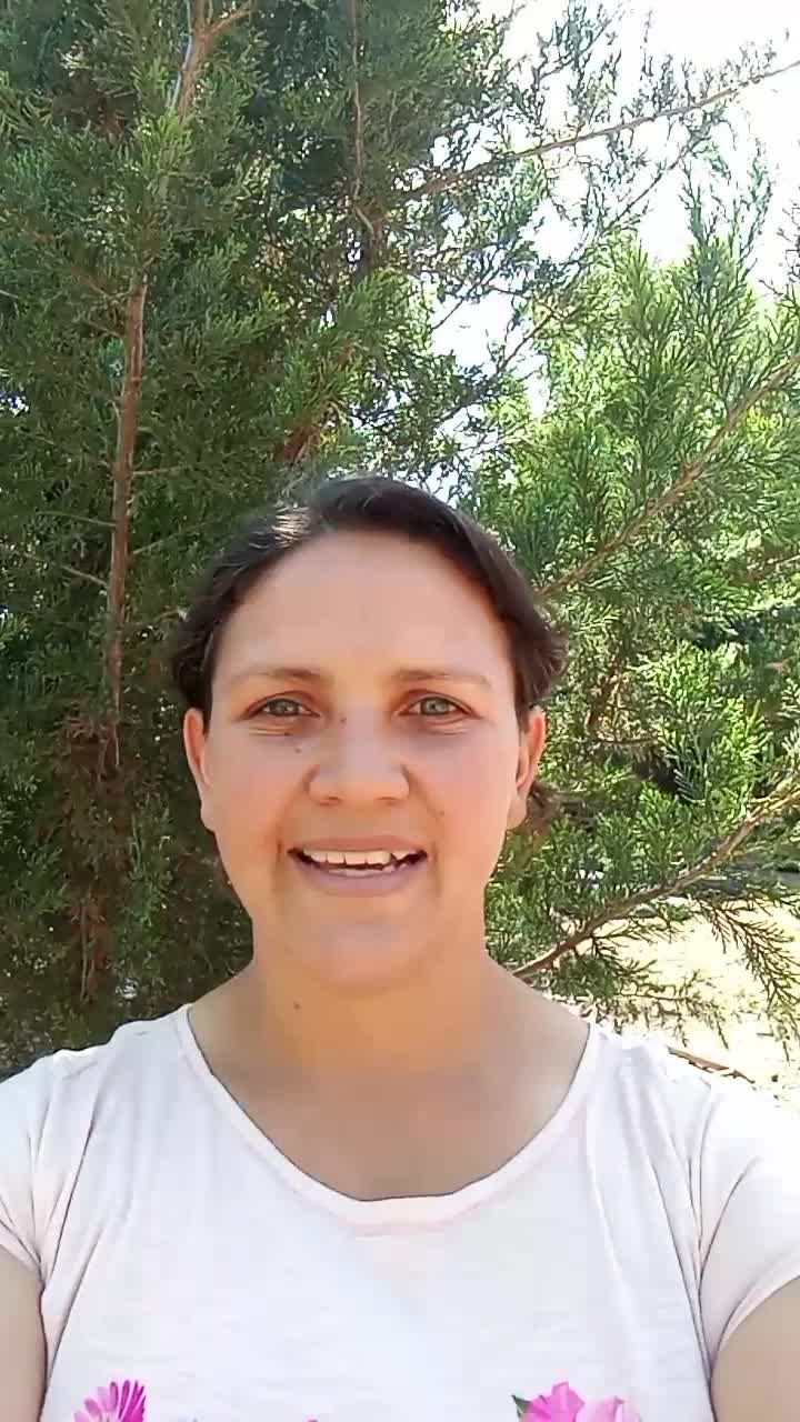 Sin título 
