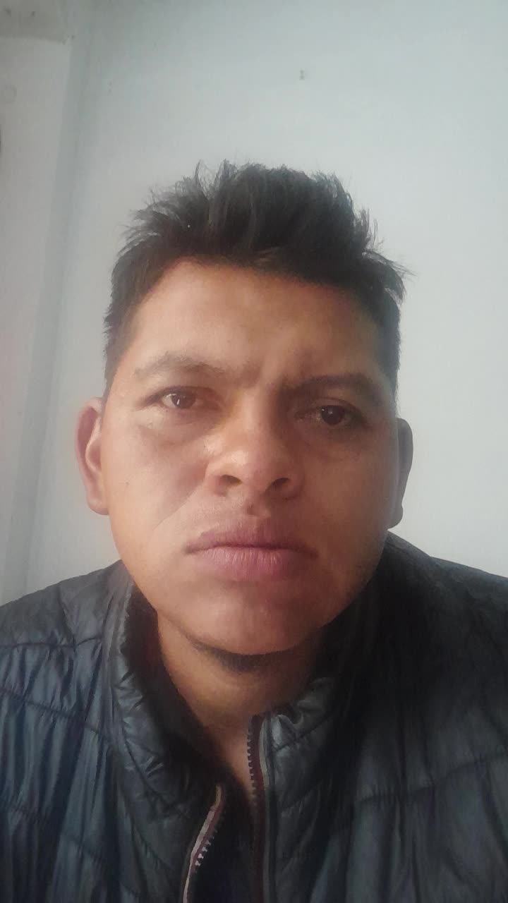 Auxiliar de cargue y descargue