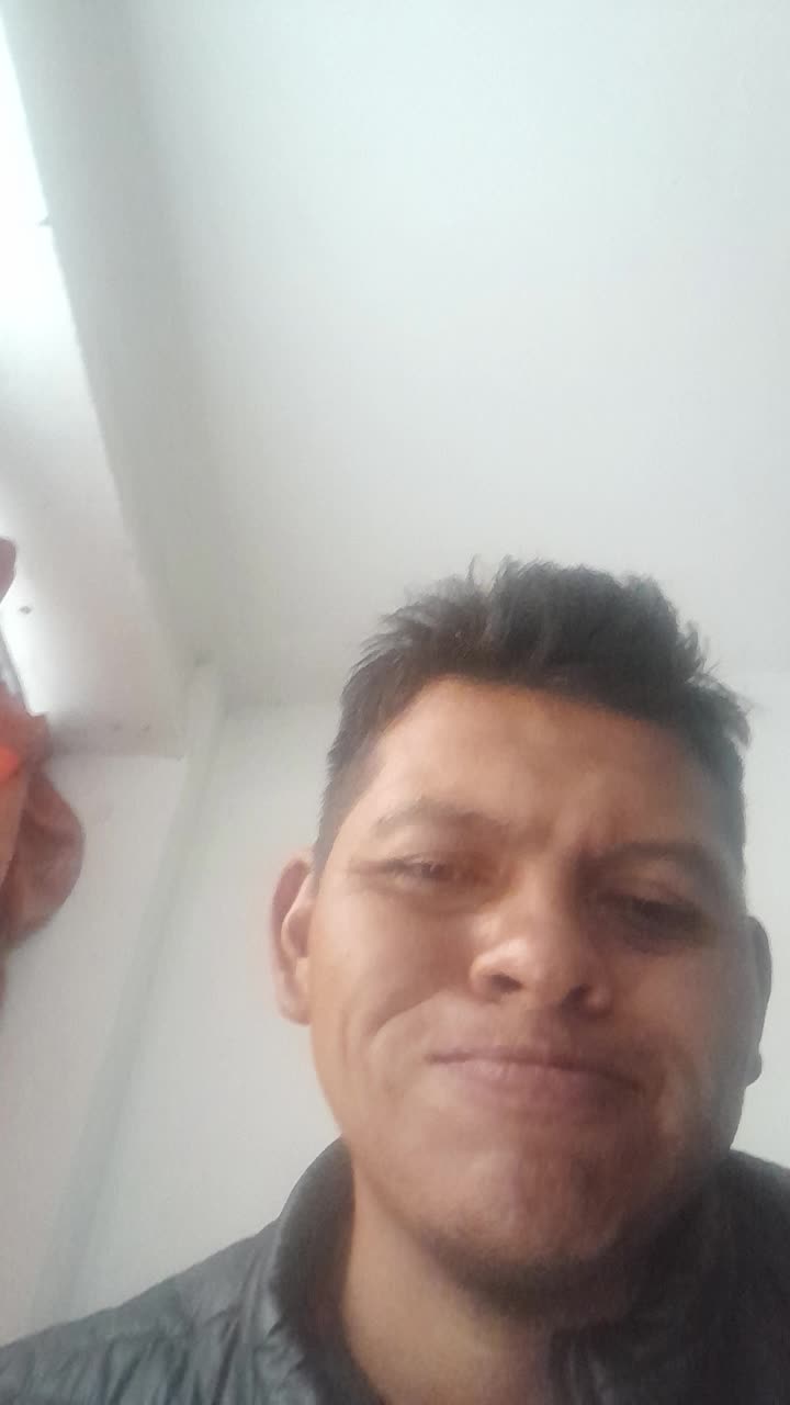 Auxiliar de cargue y descargue