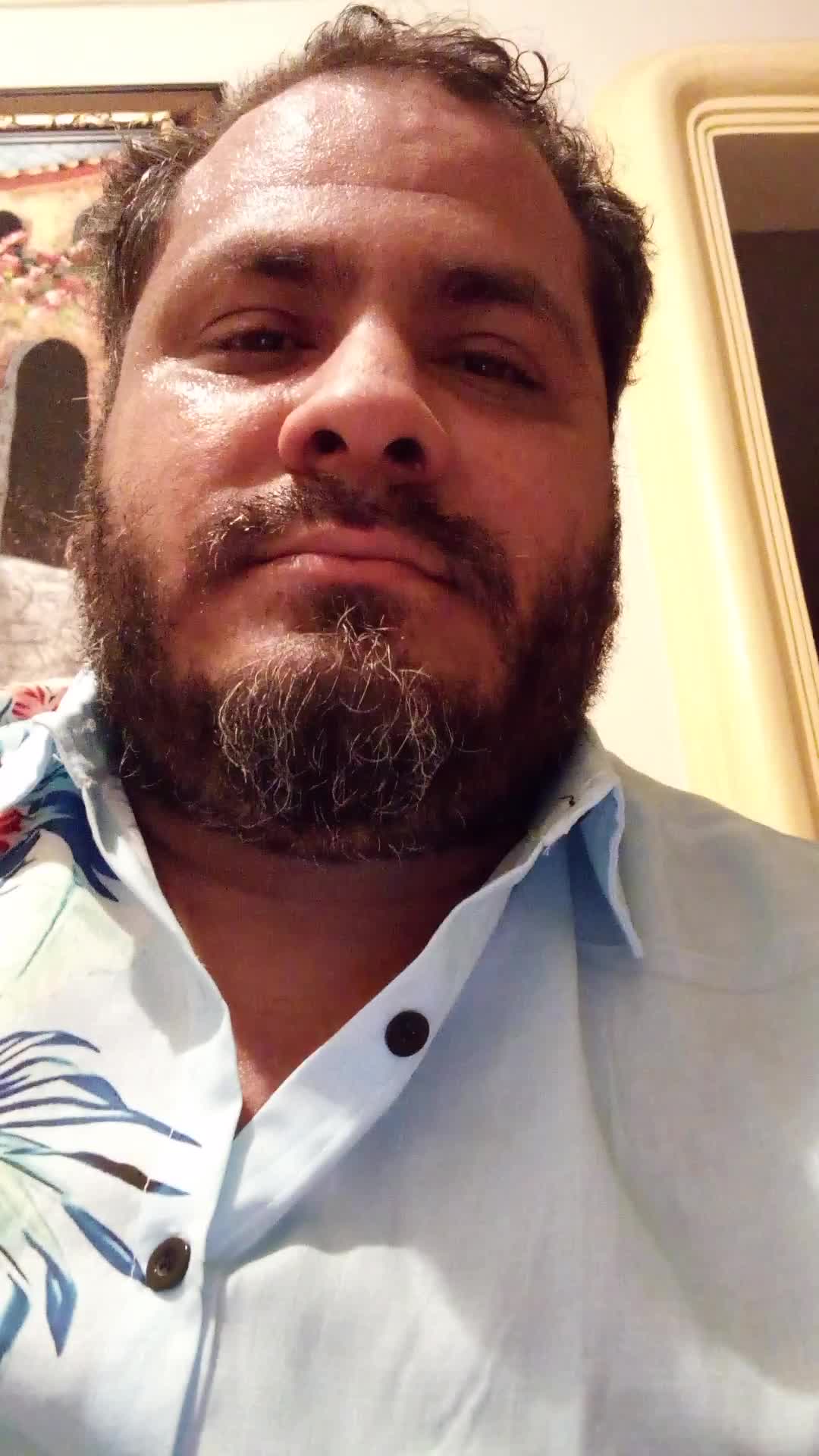 curiculo 