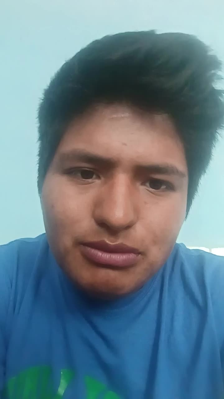 Practicante de software 