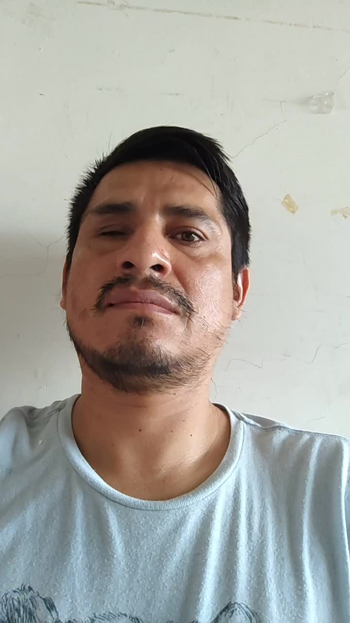Chófer Profesional 