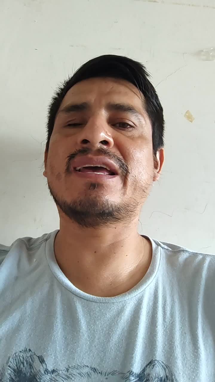 Chófer Profesional 