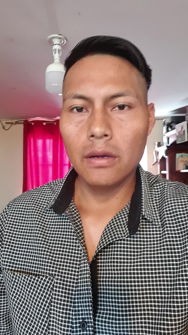 CHOFER PROFESIONAL tipo E