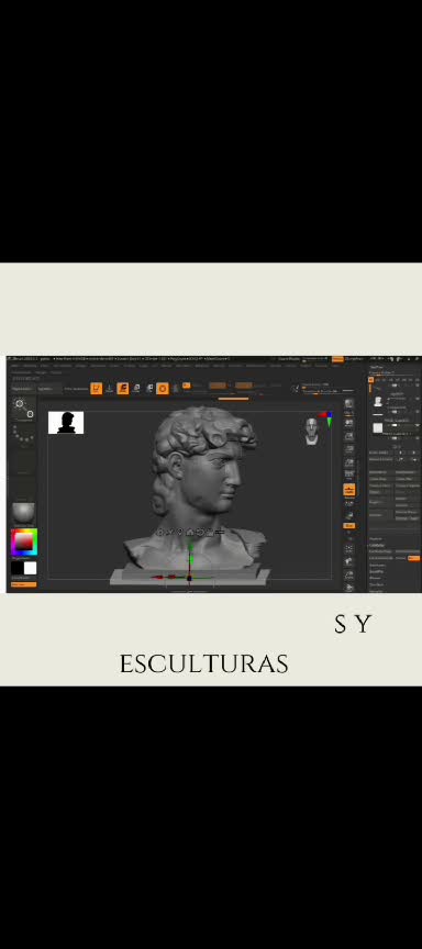 Diseñadora Integral 