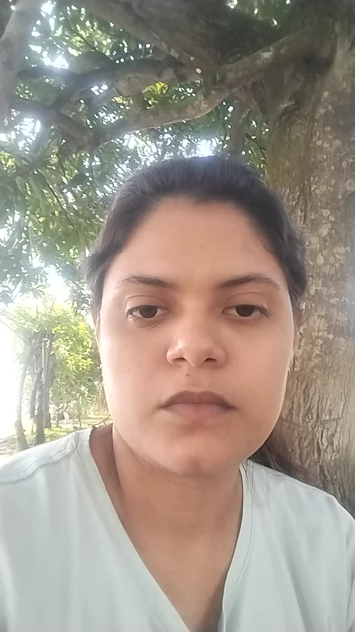 Bachiller académico