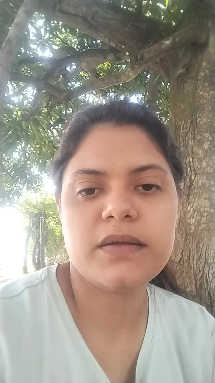 Bachiller académico