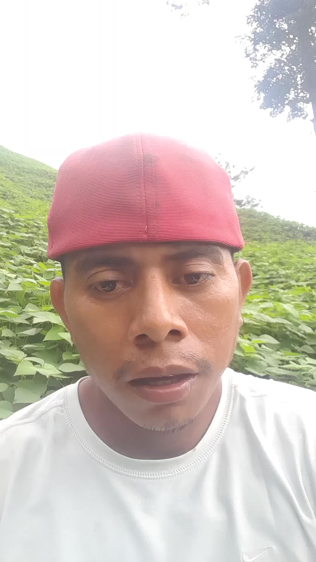 Asistente administrativo