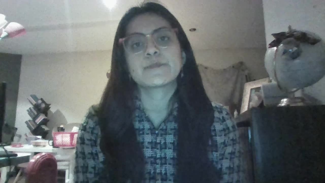 Video remote interpreter