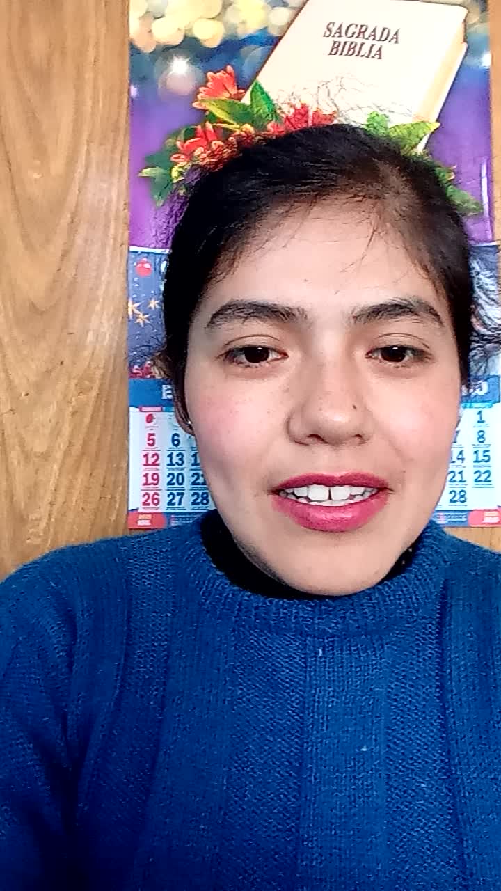 Video de experiencia laboral de Sara Gabriela Yepez Aranibar 