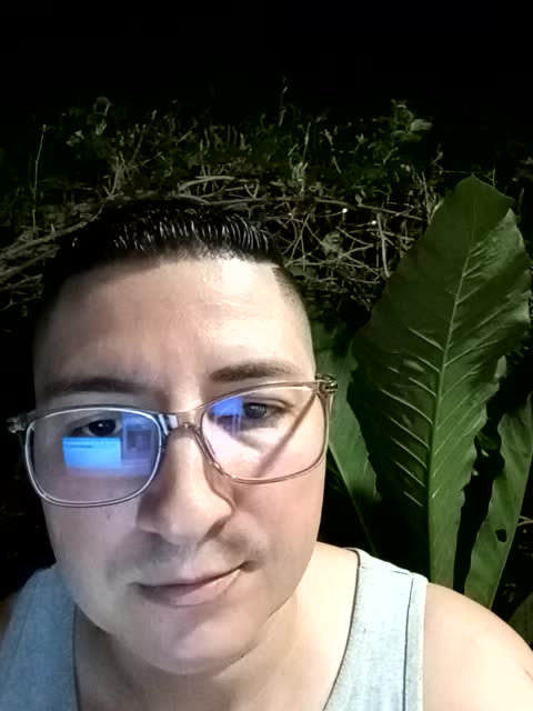 Luis Torres 