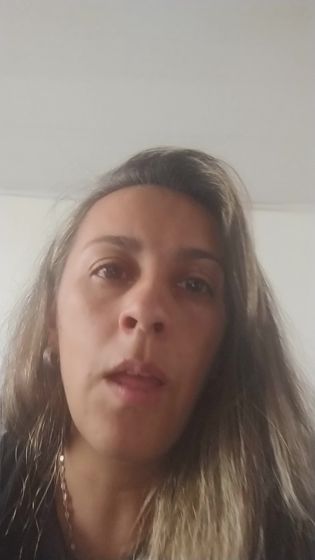 Presentación 