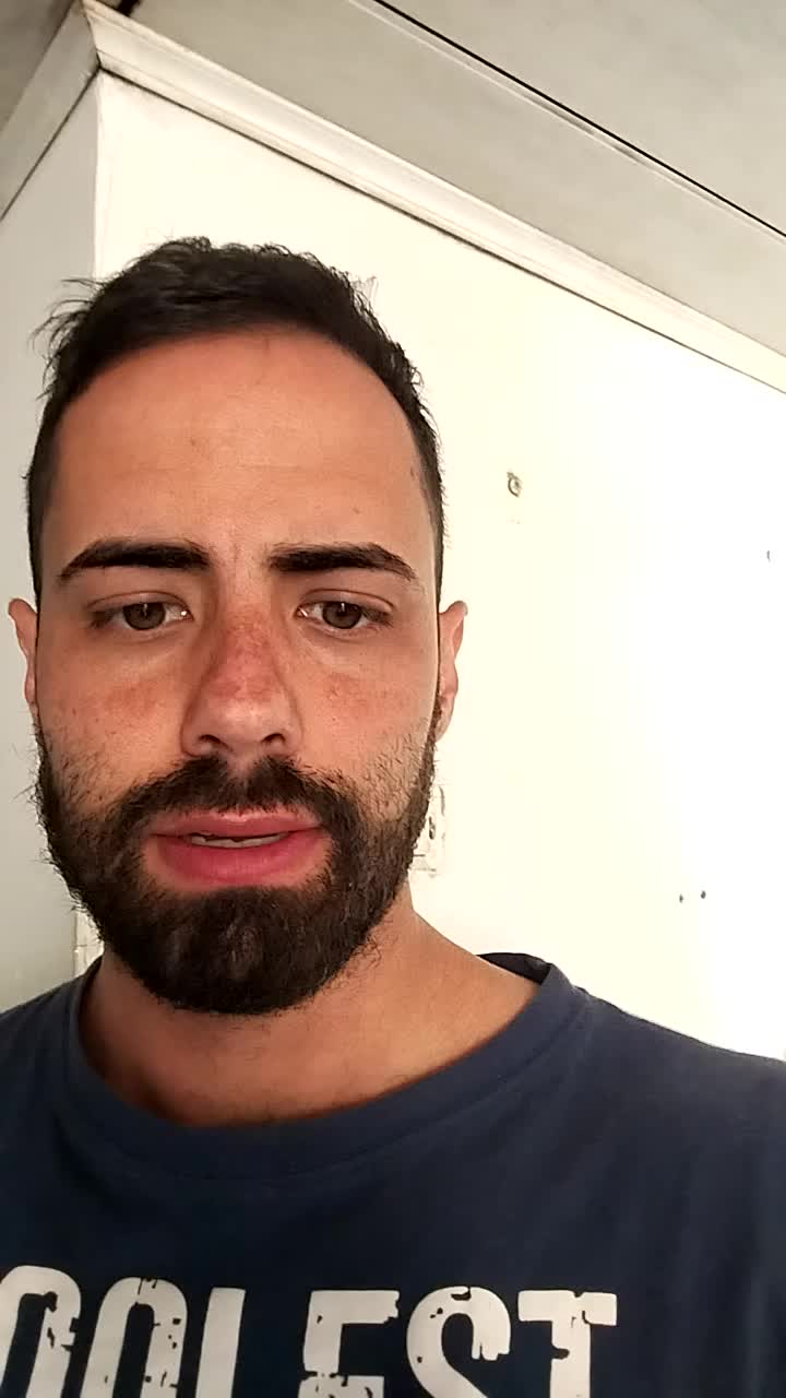 WordPress developer
