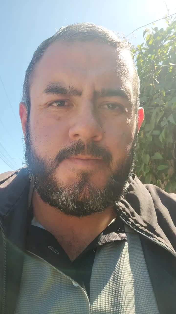 Vendedor 