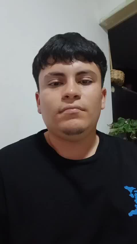 Presentación 