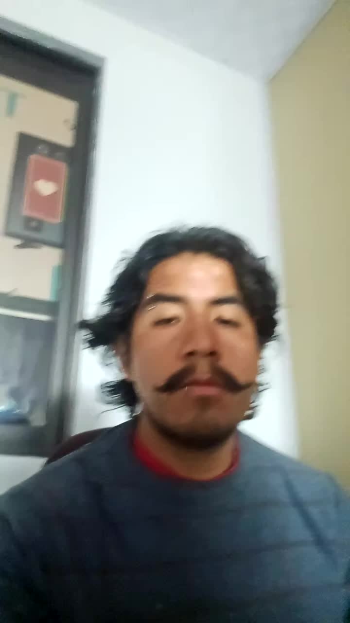 Mi presentación 