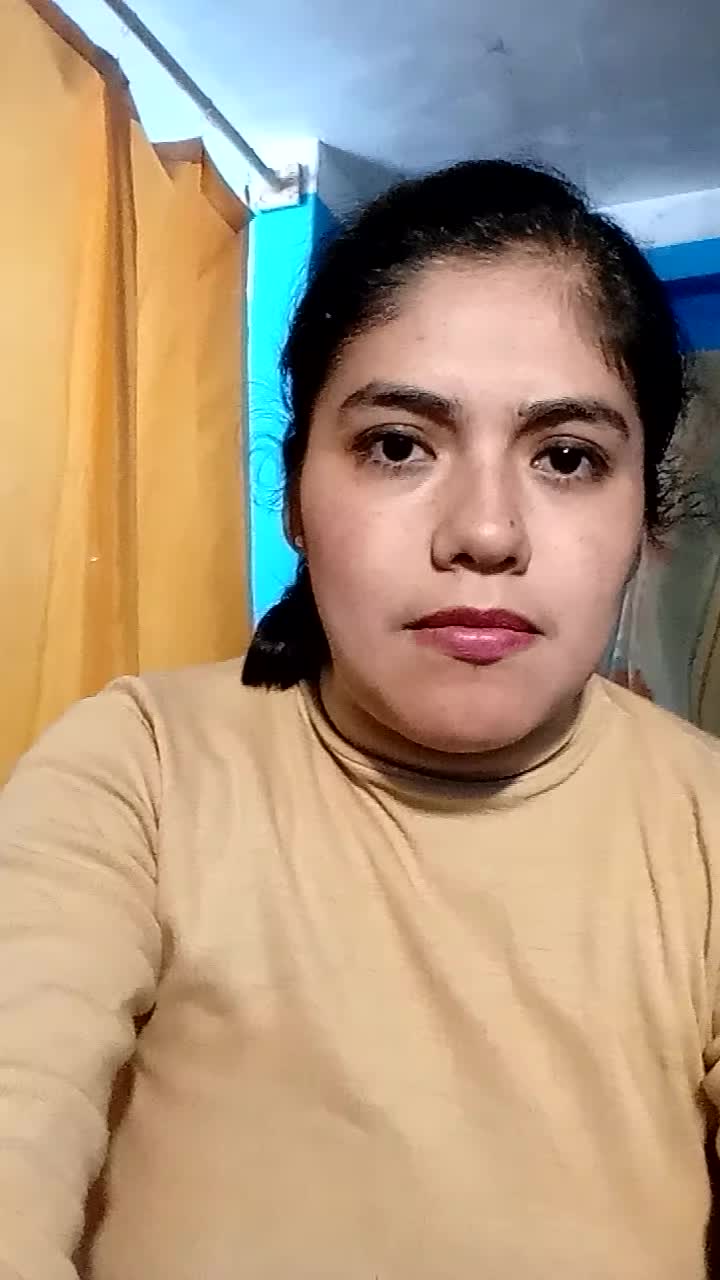 Presentación laboral 