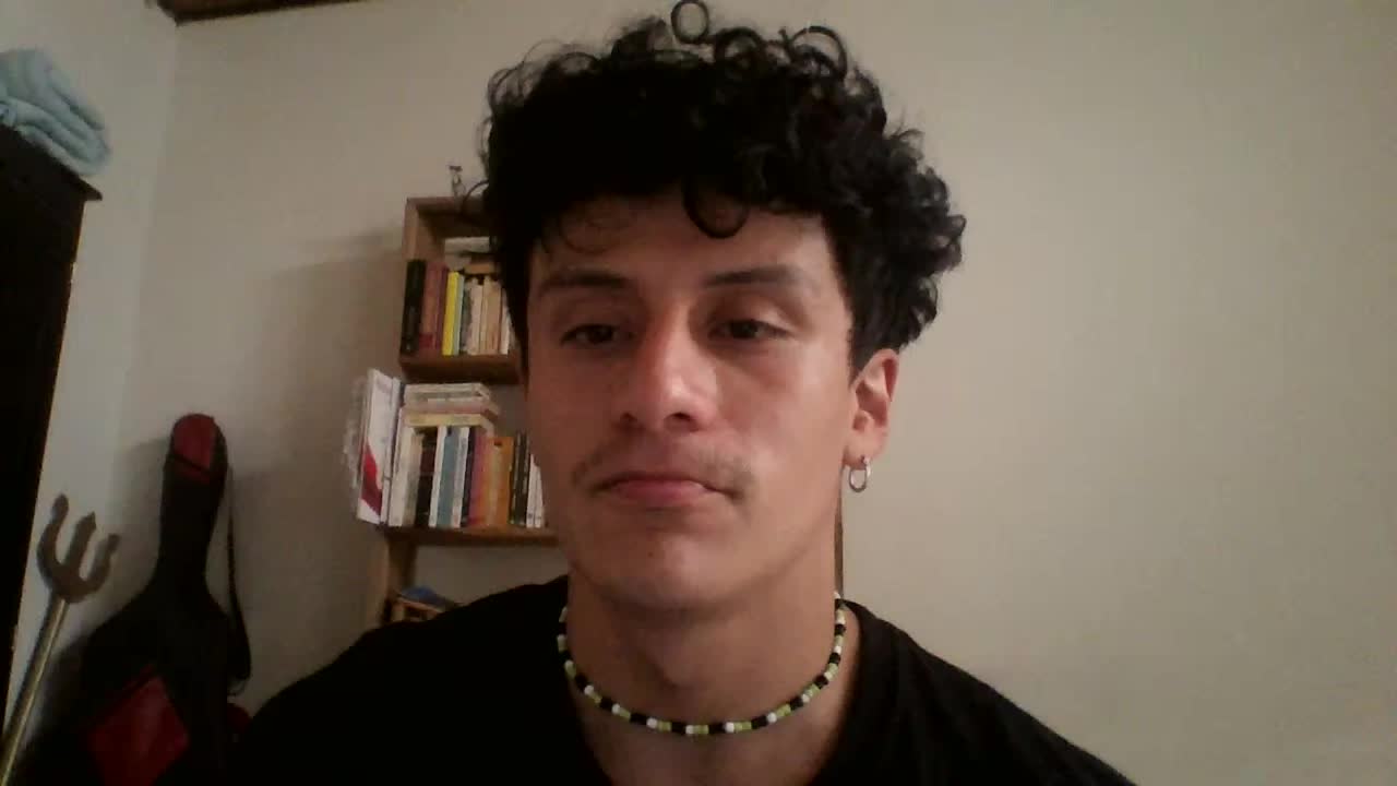 Licenciado en Literatura