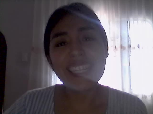PERFIL DE CURRICULIM PROFESIONAL