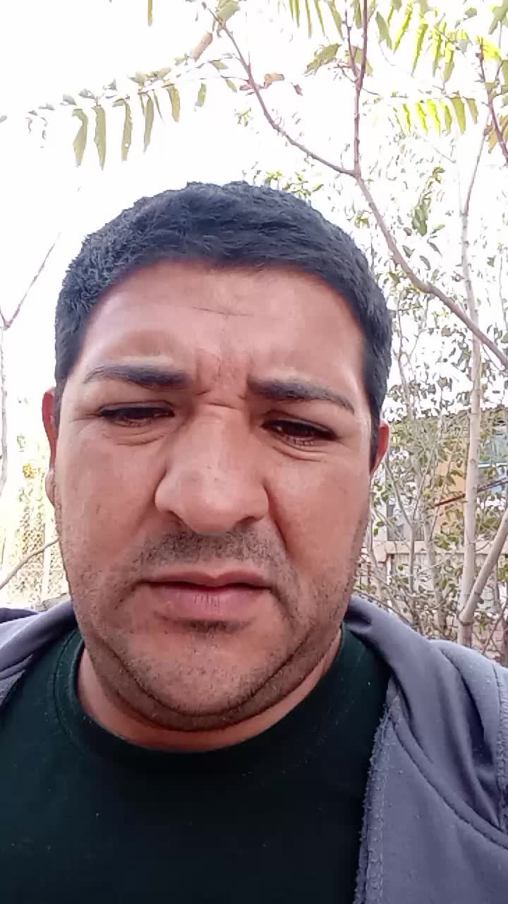 Chofer