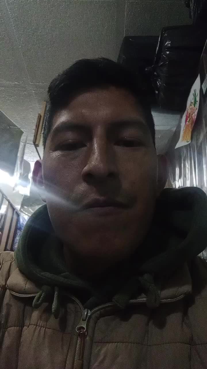 Mecánico Industrial