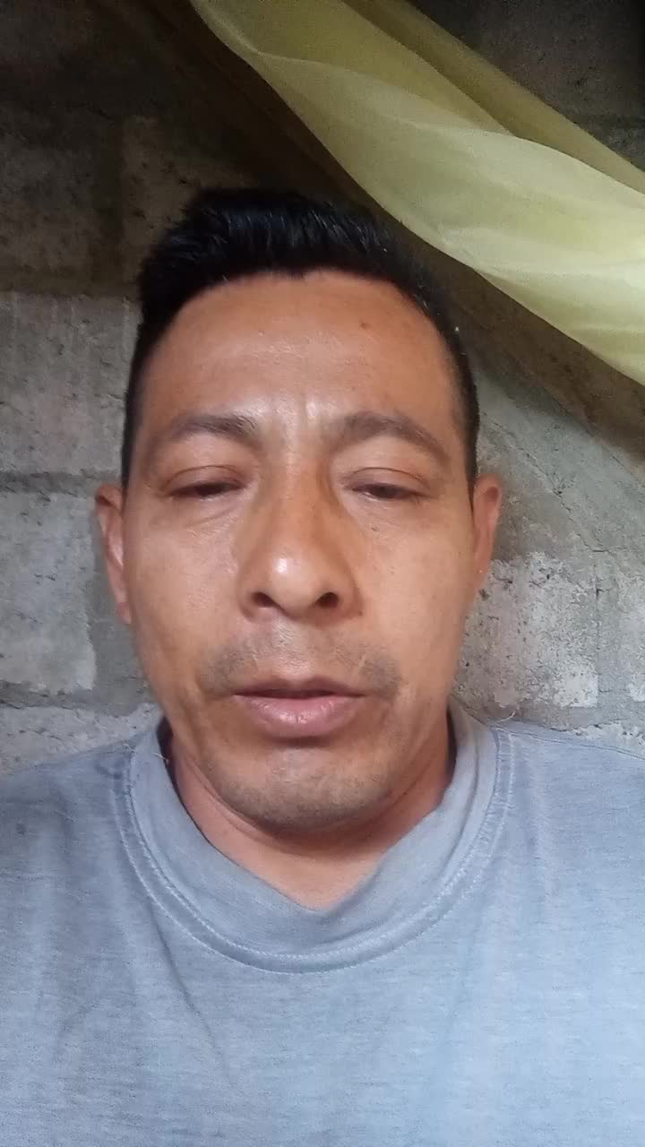 Chófer 