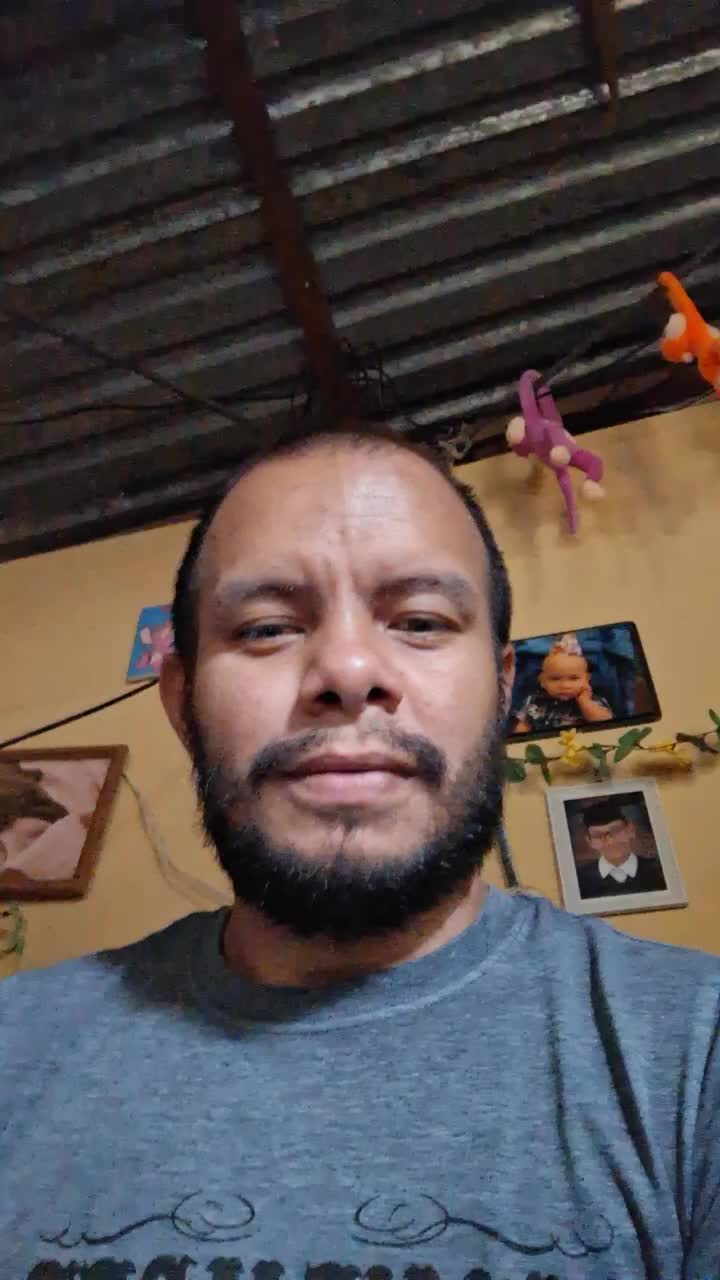 Monta cargista