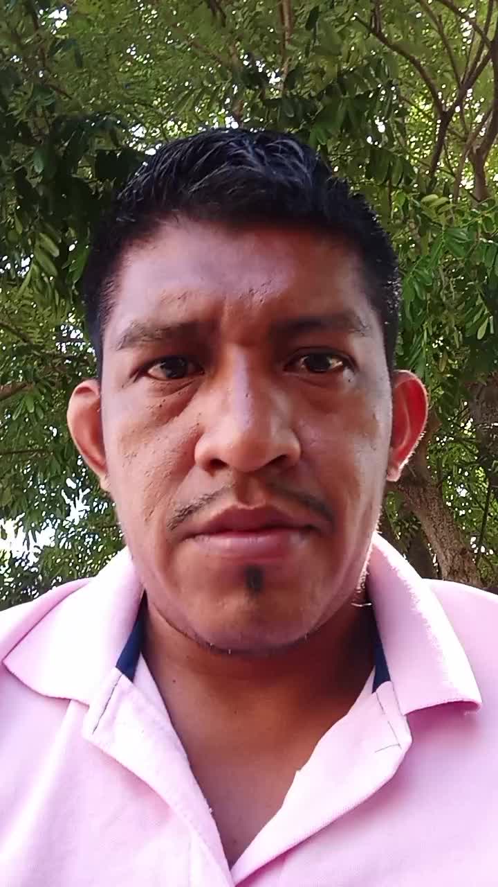 Ayudante de bodega