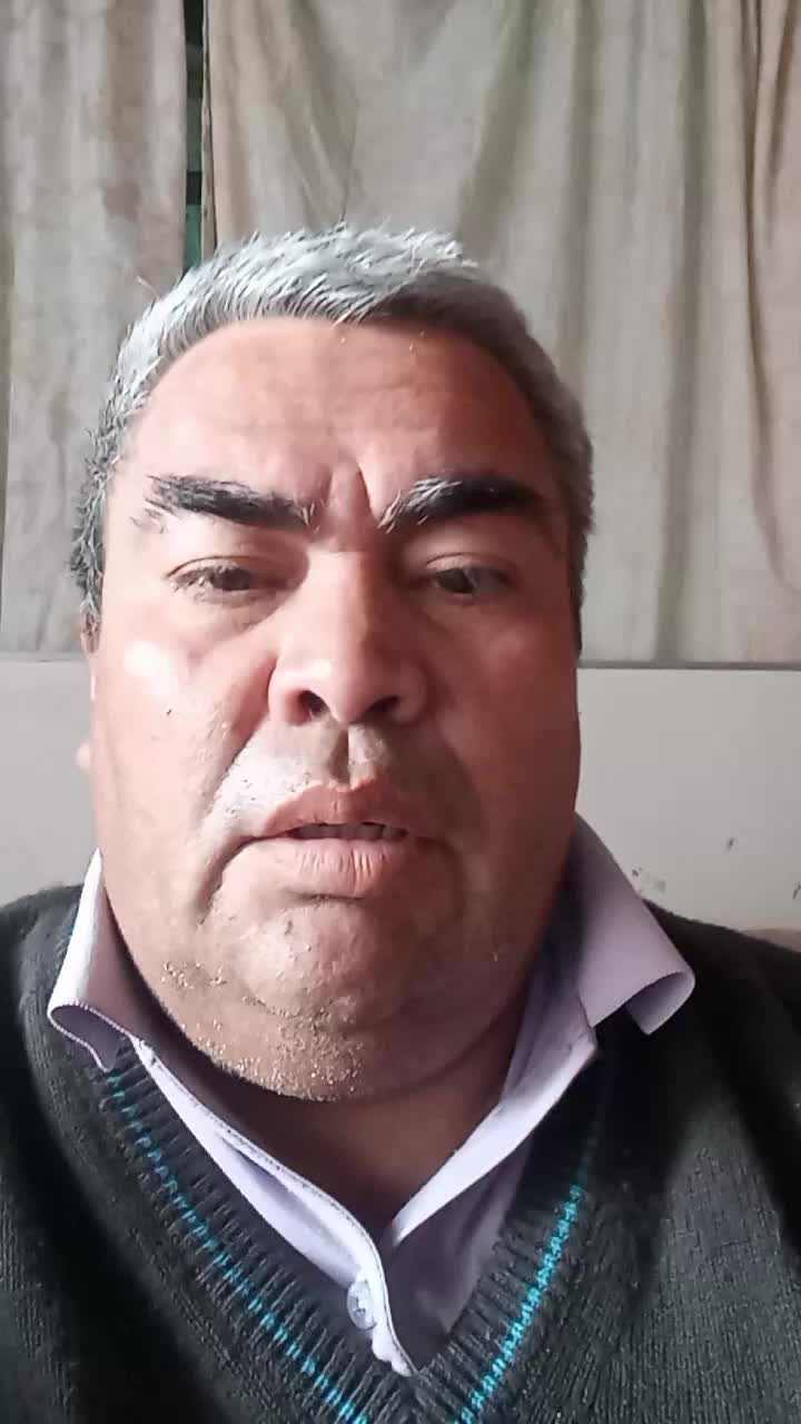 Vijilador 