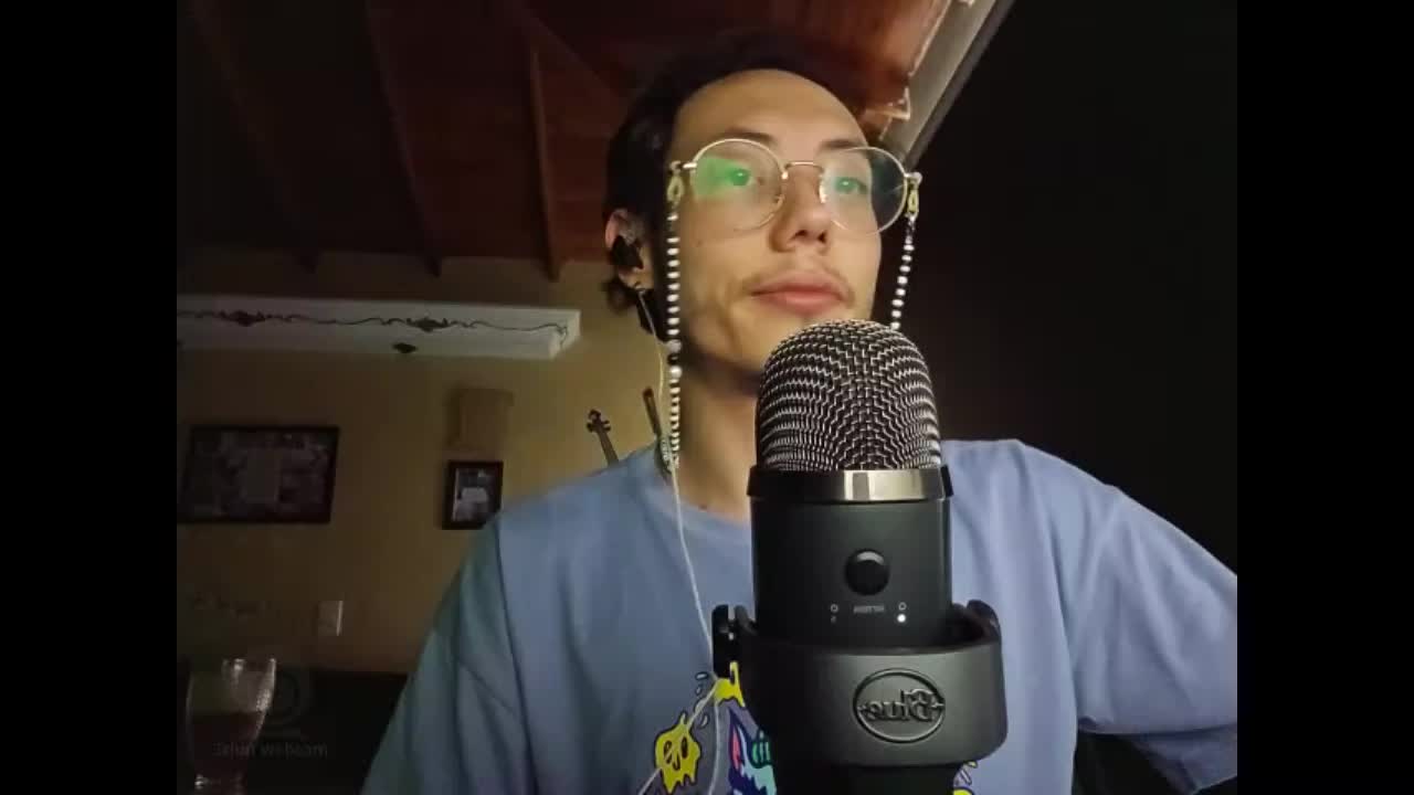 Remote assistant