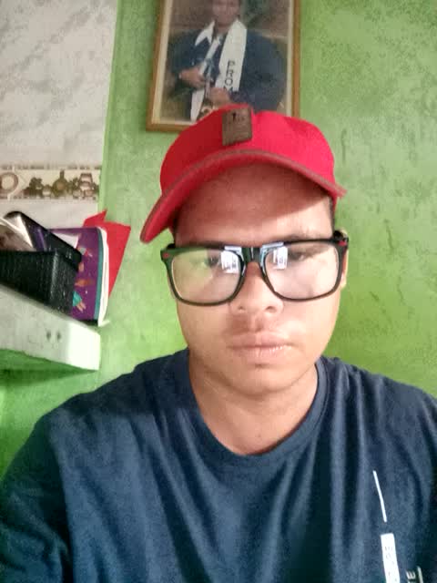 Delmys sarmiento