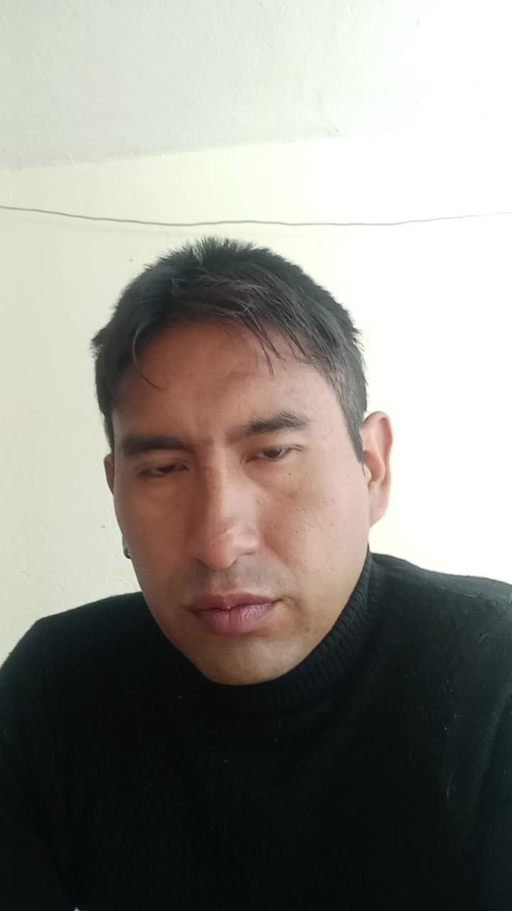 Auxiliar logístico